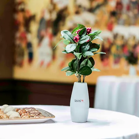 Levni Hotel&SPA - Special Category-3